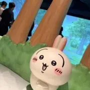 takahiroの画像