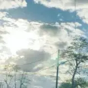 Mの画像