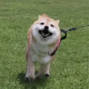 高木の画像