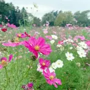 うなぎ　プロフ必読⚠︎