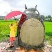 ゆっちゃまの画像
