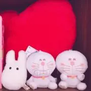 ちーちゃんの画像