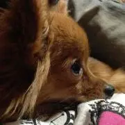 Y☆T