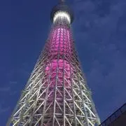 anzuの画像