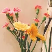 たまごの画像