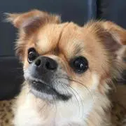 ^ ^の画像
