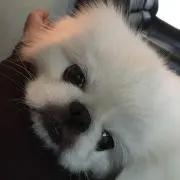 miwaの画像