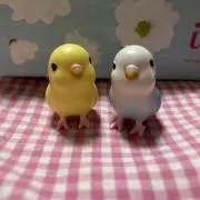 ことりの画像