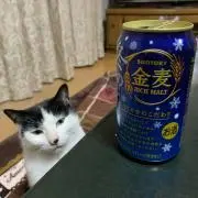 もにしゃんの画像
