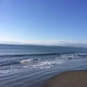 ぐりの画像