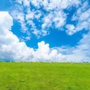 つよしの画像