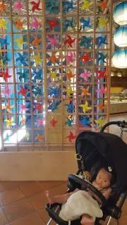 らら☆の画像