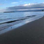 Y