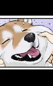 もっけの画像