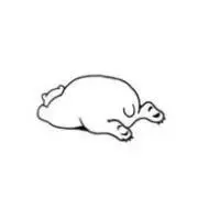 ☺︎ あ～さん ☺︎の画像