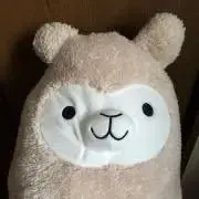 たかたかの画像
