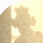 ナミヱの画像