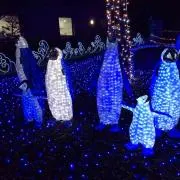 最終処分セール中まとめ売り大歓迎　さちこの画像