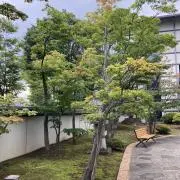 補佐の画像