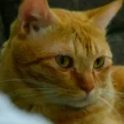 メイちゃん