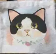 ロミたん、猫のおもちゃの画像