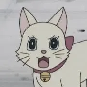 Yの画像