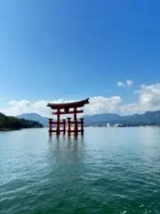 あちゅの画像