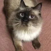 ゆう