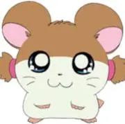 くるりの画像