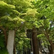 AT  購入の前にご連絡をお願いしますの画像