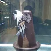 Hexenschuss
