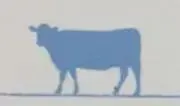レモネード