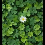 プロフご確認願いますの画像