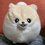 オスカルの画像