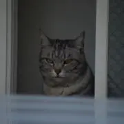 92373118の画像