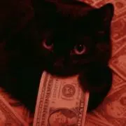 damnの画像