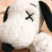 LEMONeDの画像