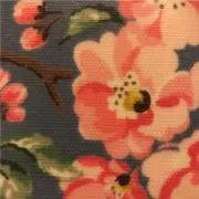 モネちゃんワゴンの画像