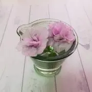 Fleuretteの画像