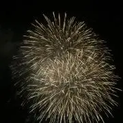 TMの画像