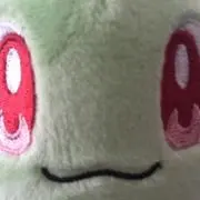 ナタネの画像