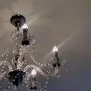 しぃの画像