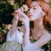 コレクションマニア/即日発送の画像