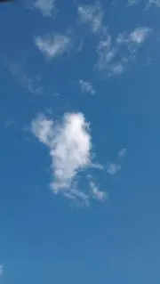 まゆの画像