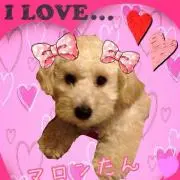 ゆうこりん