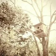 nou-tの画像