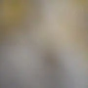 さくらんぼ