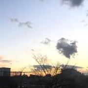 しろみの画像