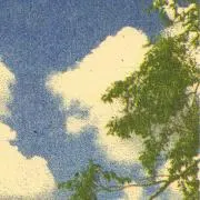 箱付き かしゆか商店 スマホストラップ - メルカリ