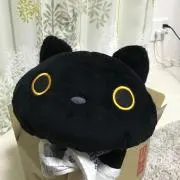 たまの画像
